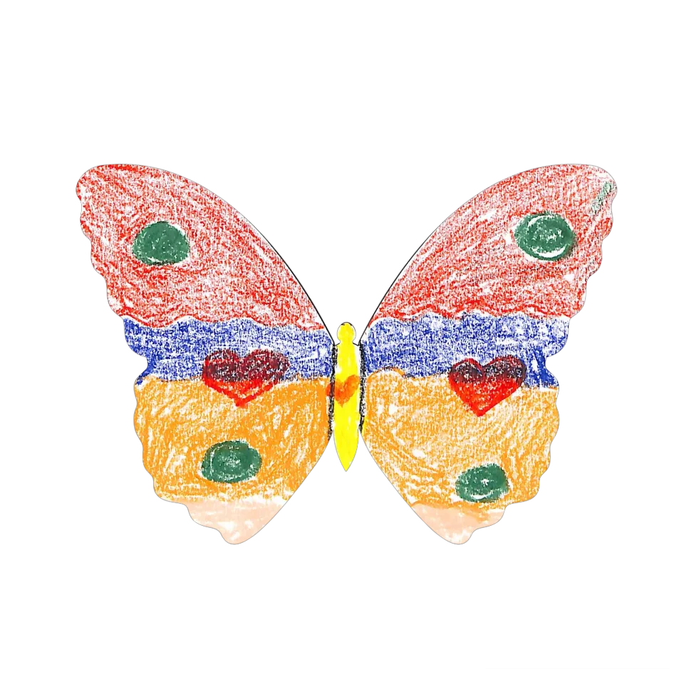 Original Butterfly Image