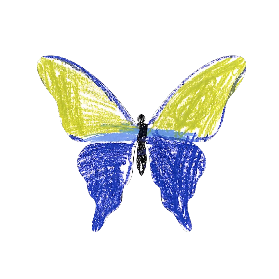 Original Butterfly Image