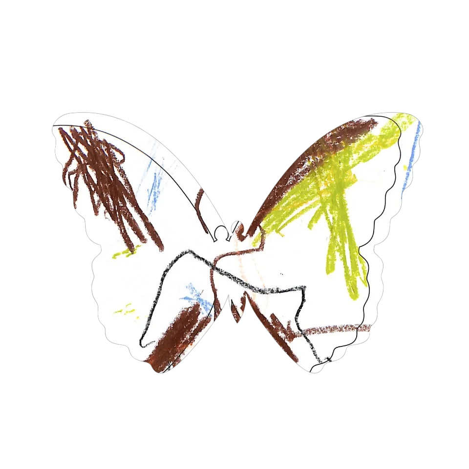 Original Butterfly Image