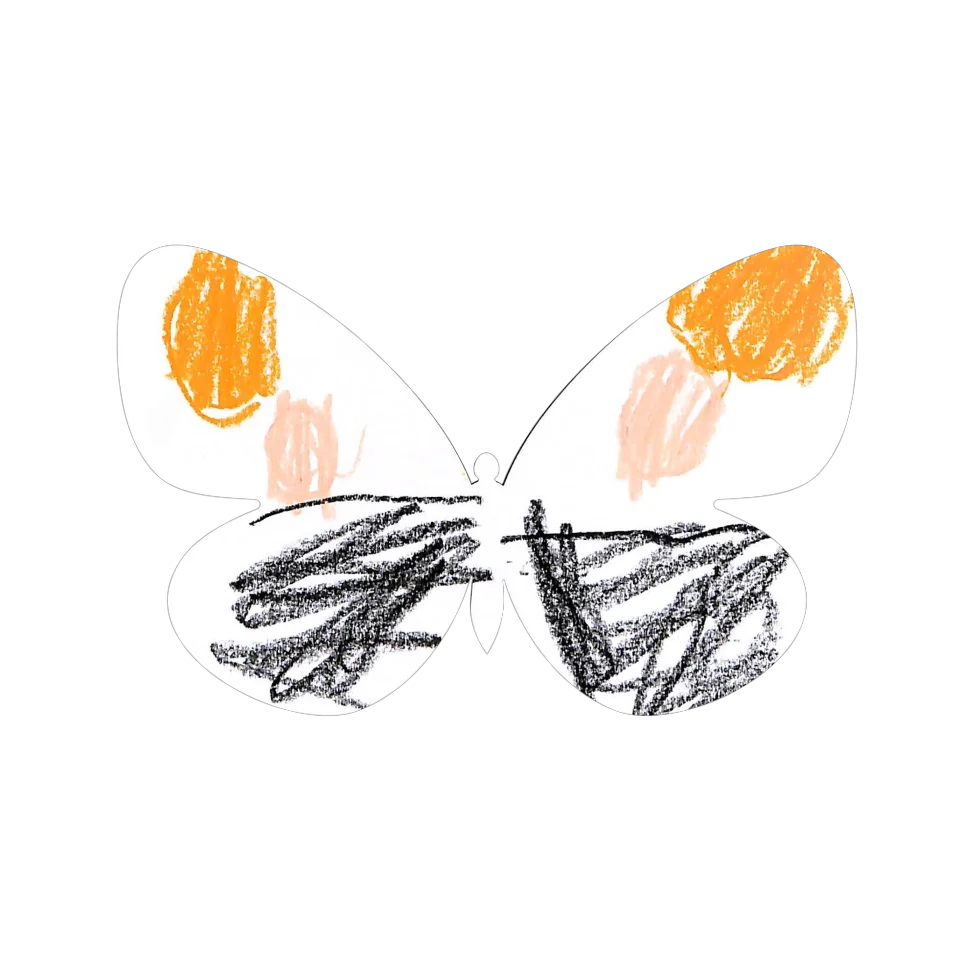 Original Butterfly Image