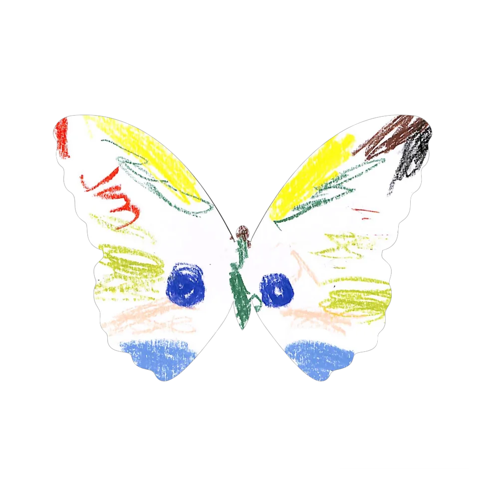 Original Butterfly Image