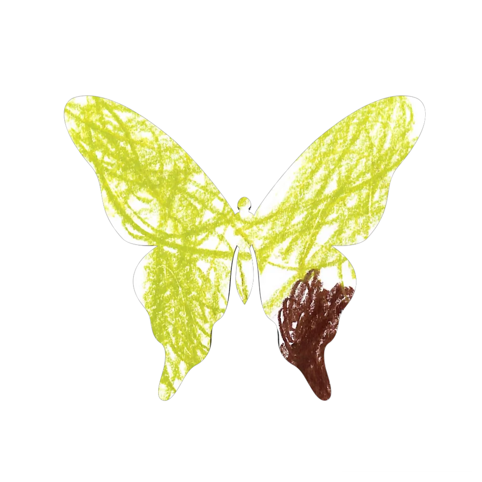 Original Butterfly Image