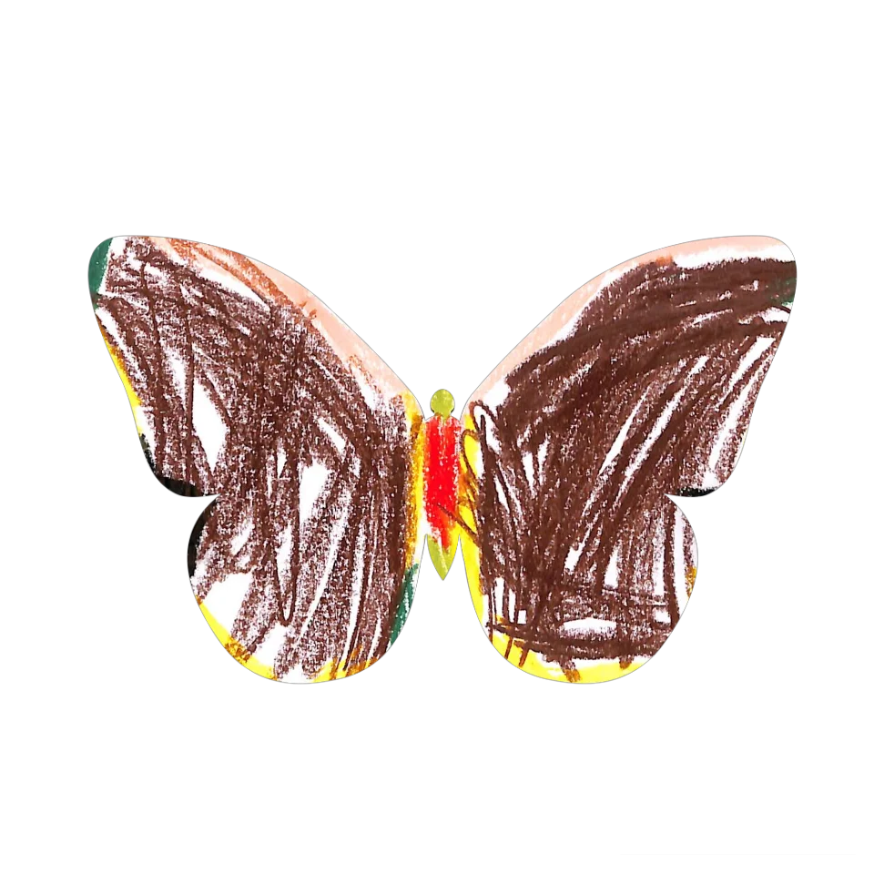 Original Butterfly Image
