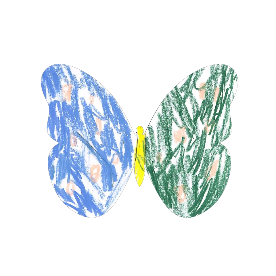Original Butterfly Image