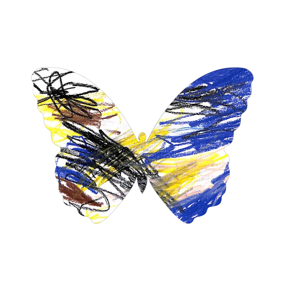 Original Butterfly Image