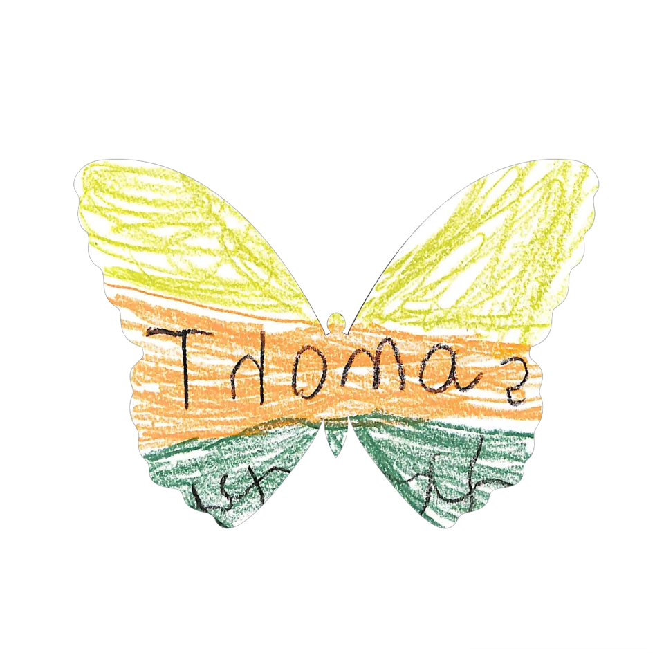 Original Butterfly Image