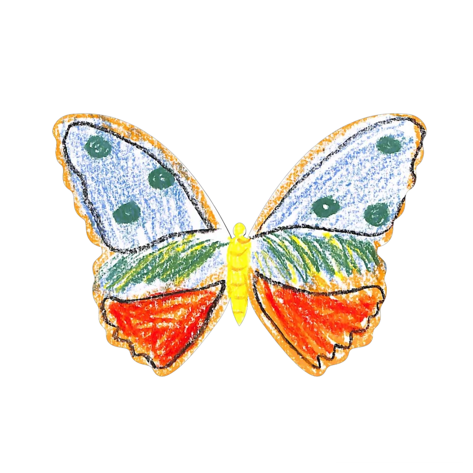Original Butterfly Image