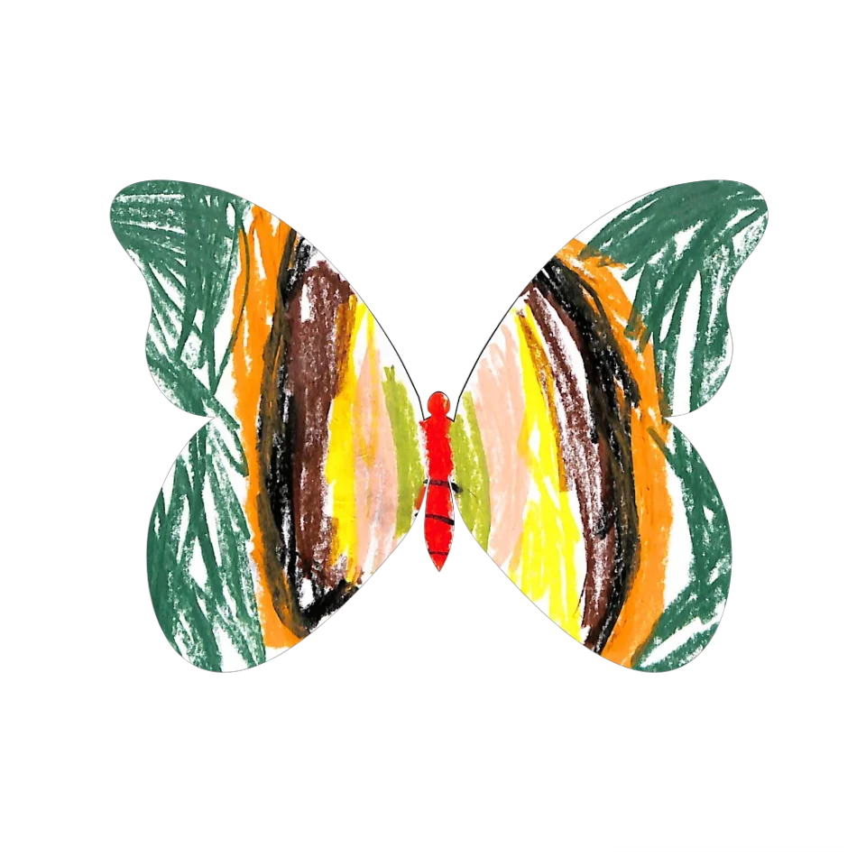 Original Butterfly Image
