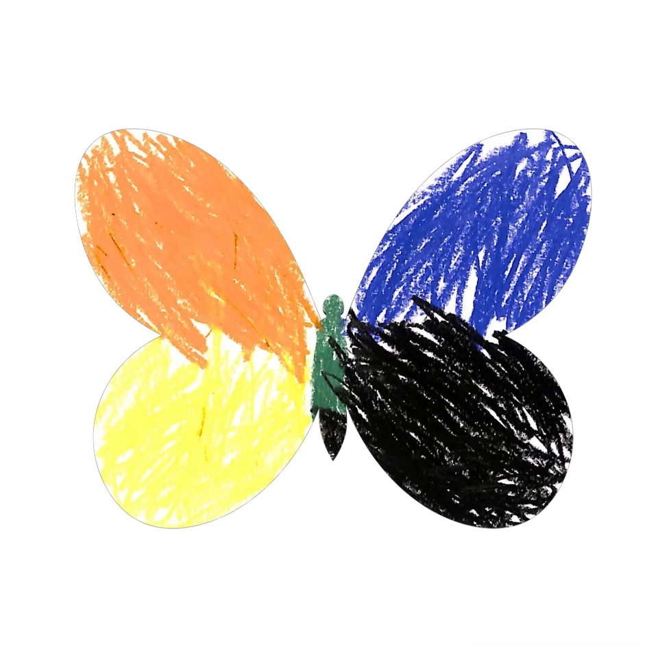 Original Butterfly Image