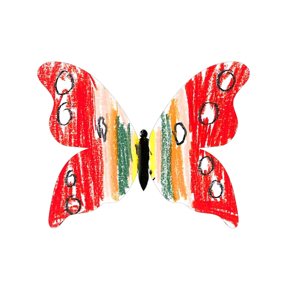 Original Butterfly Image