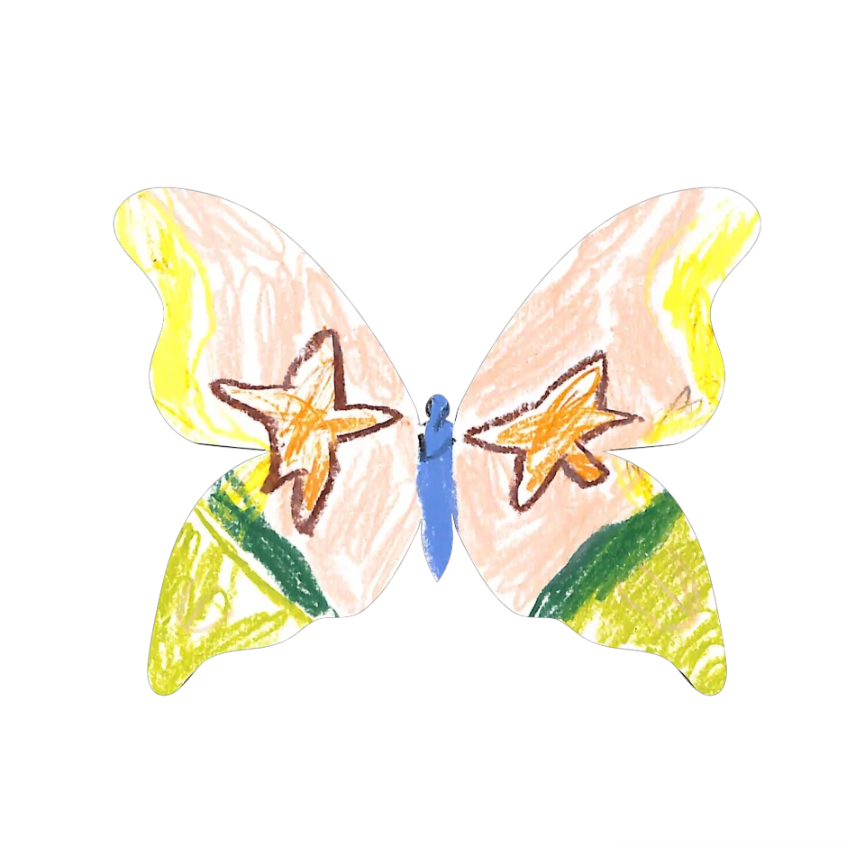 Original Butterfly Image