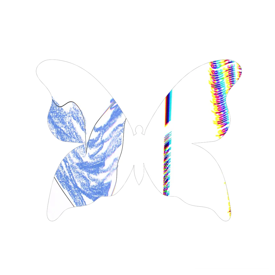 Original Butterfly Image