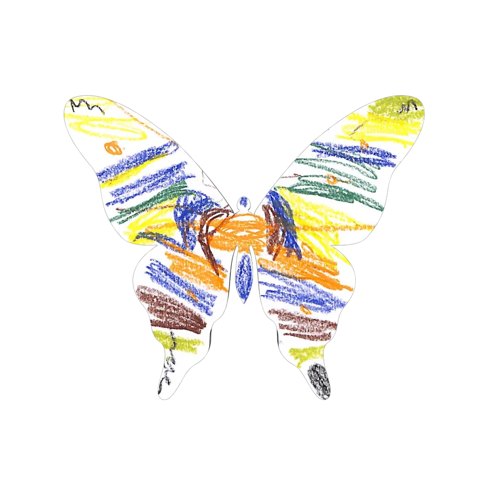 Original Butterfly Image