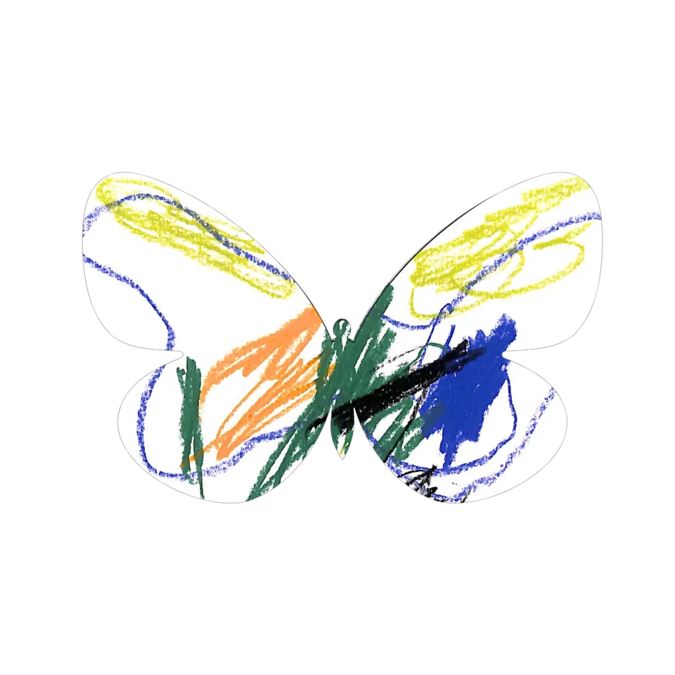 Original Butterfly Image