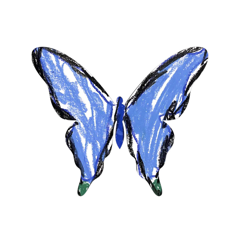 Original Butterfly Image
