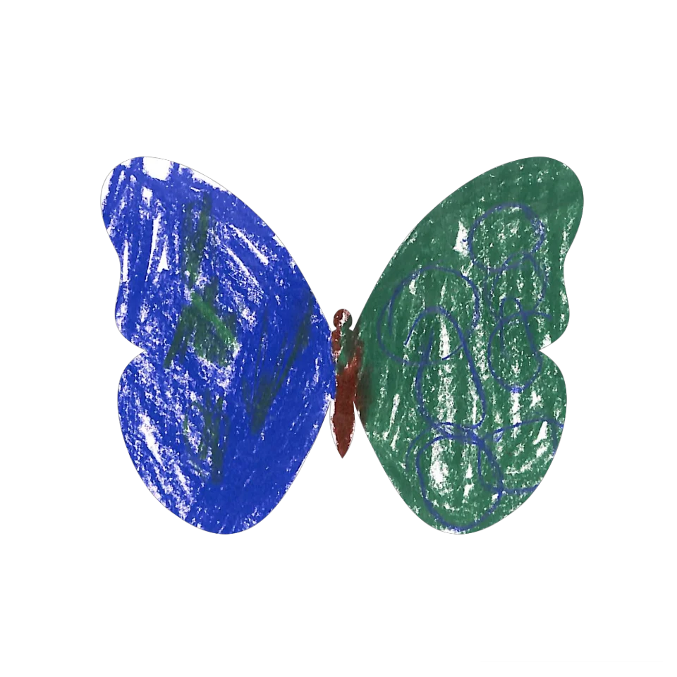 Original Butterfly Image