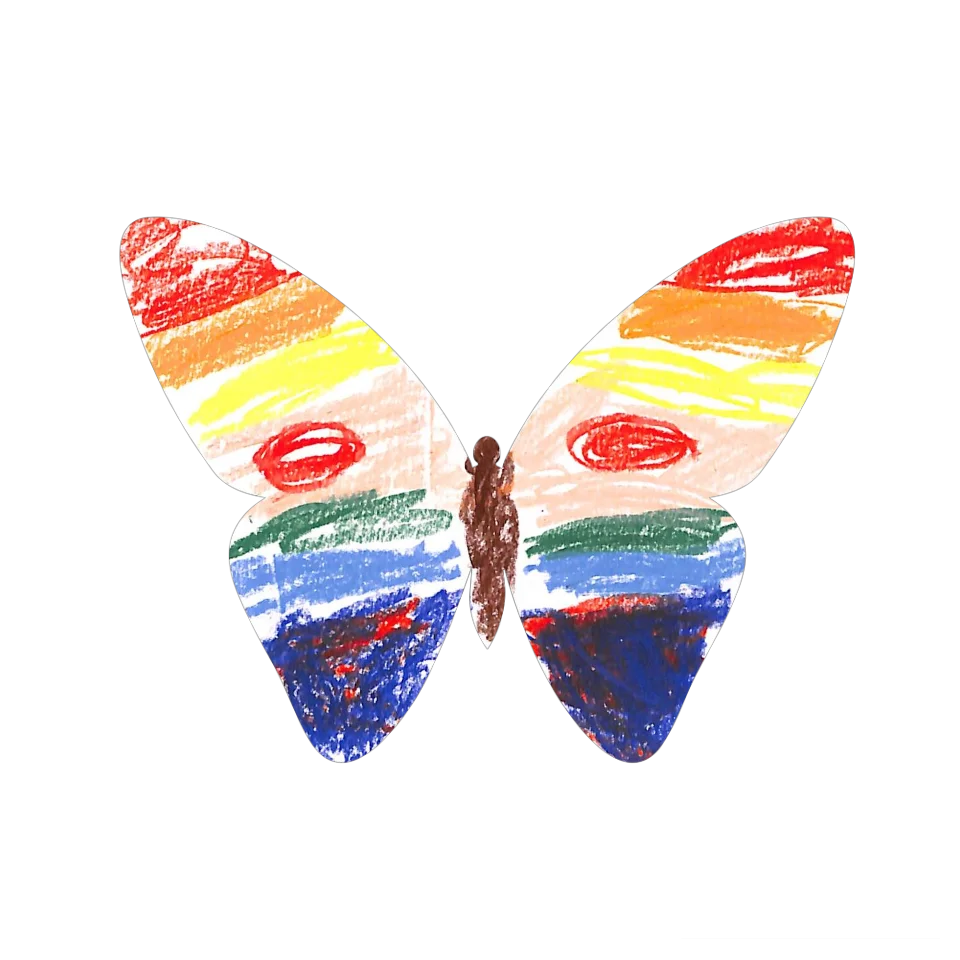Original Butterfly Image