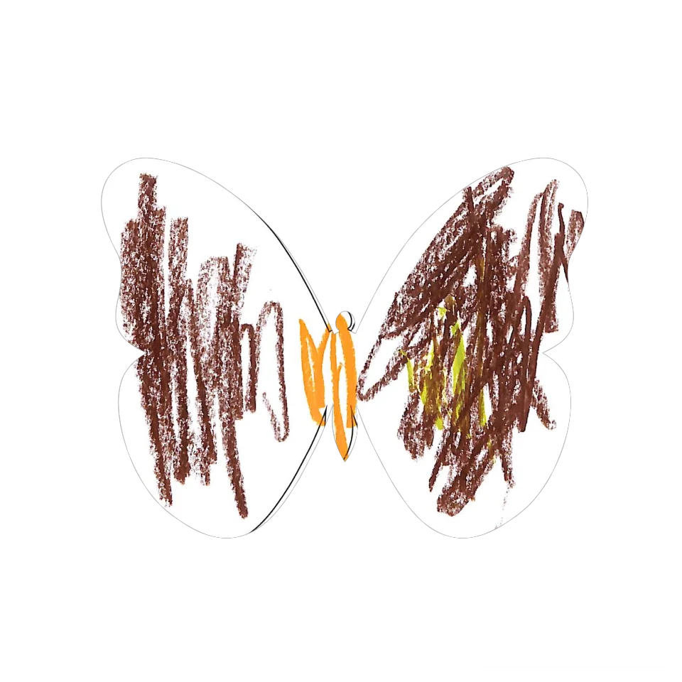 Original Butterfly Image