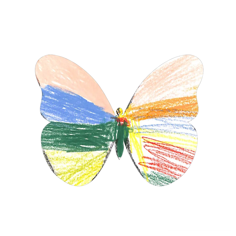 Original Butterfly Image
