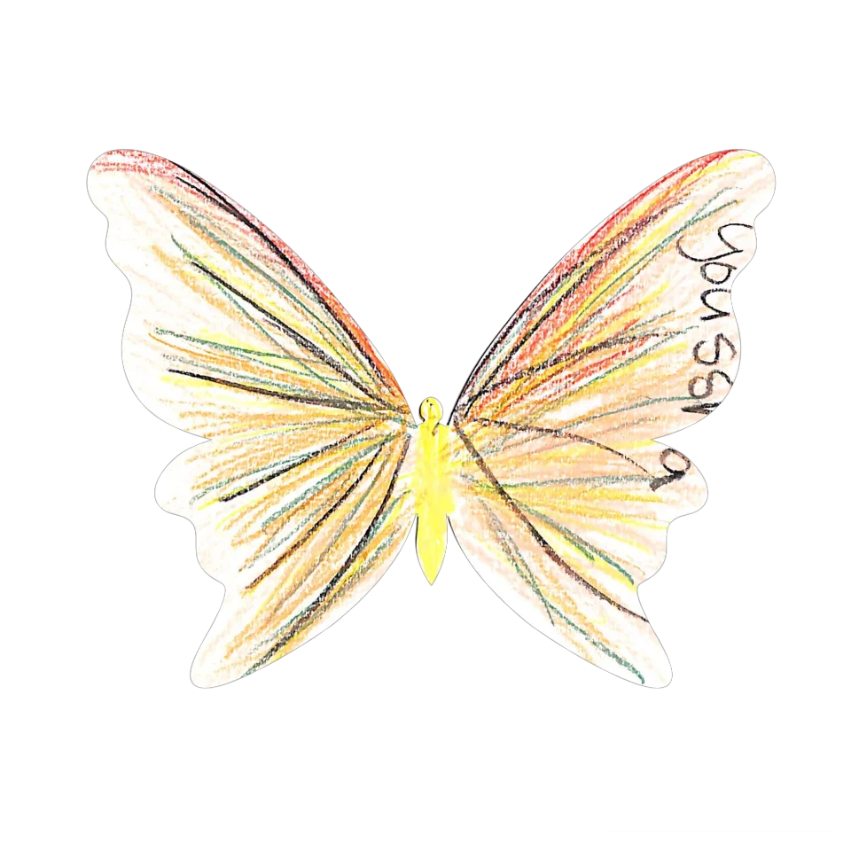 Original Butterfly Image