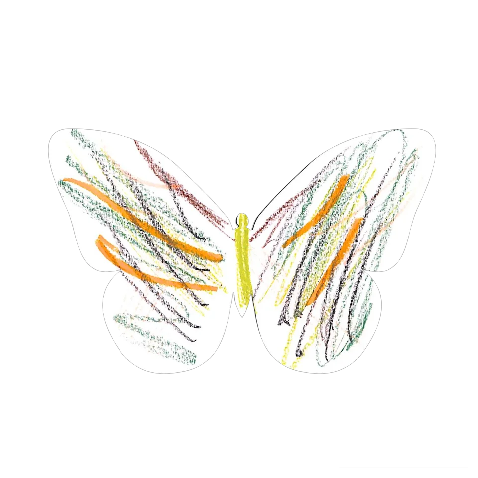 Original Butterfly Image