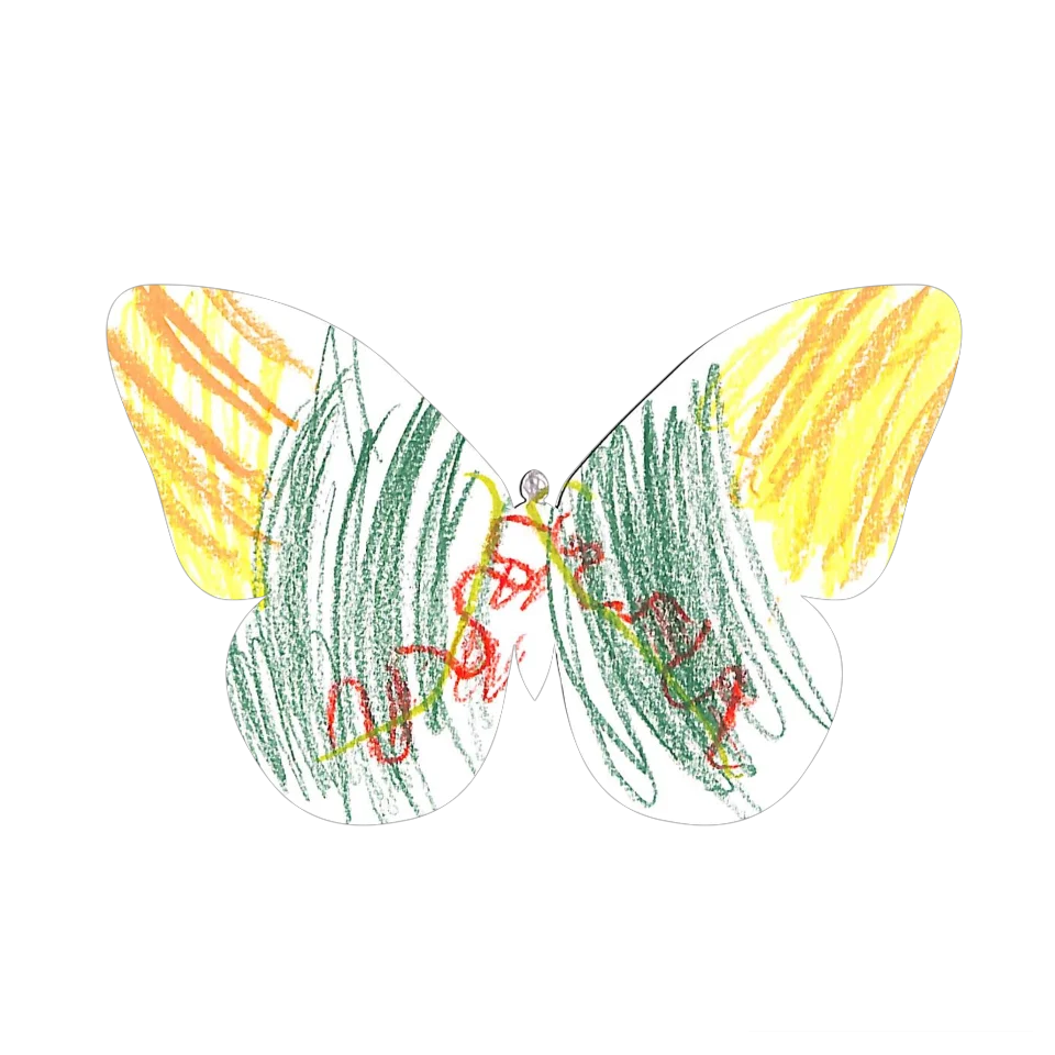 Original Butterfly Image