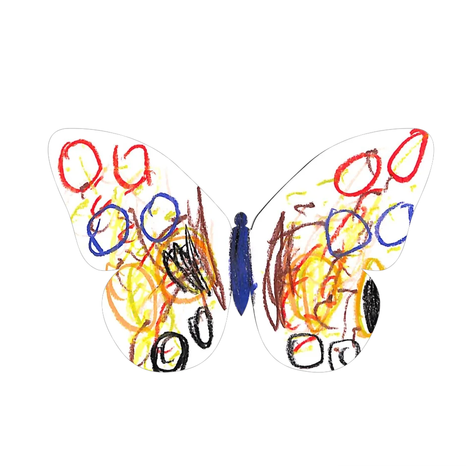 Original Butterfly Image