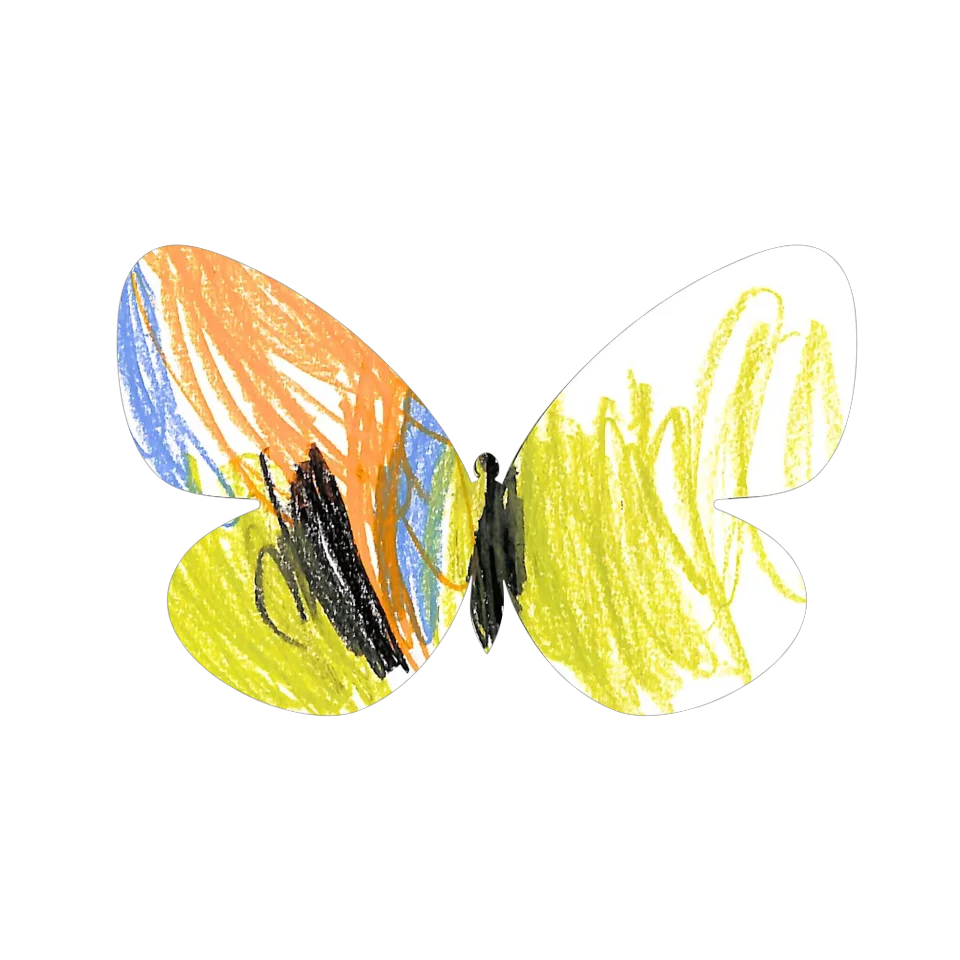 Original Butterfly Image