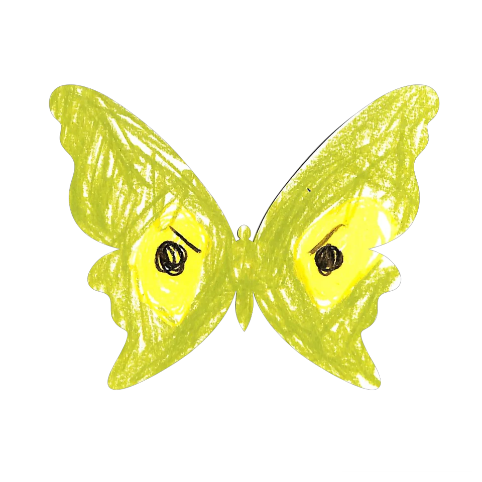 Original Butterfly Image
