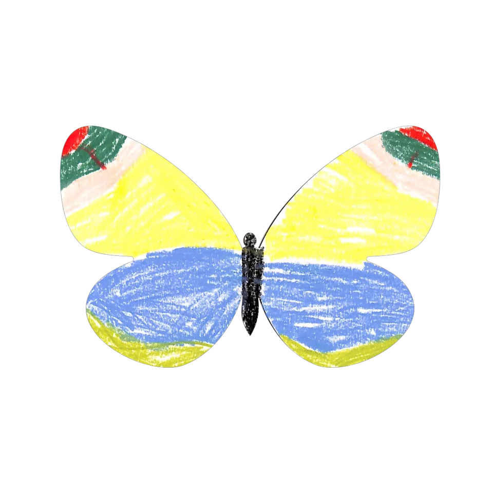 Original Butterfly Image