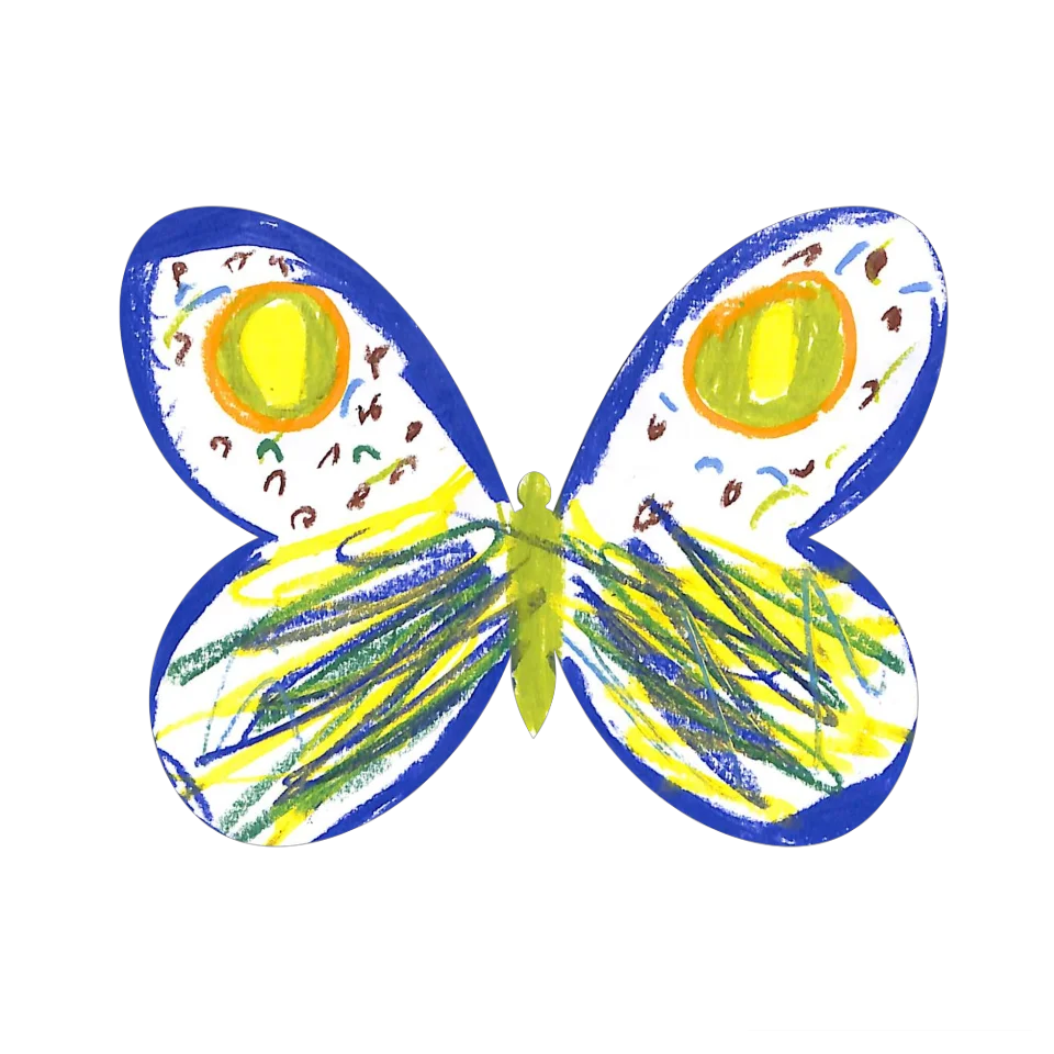 Original Butterfly Image