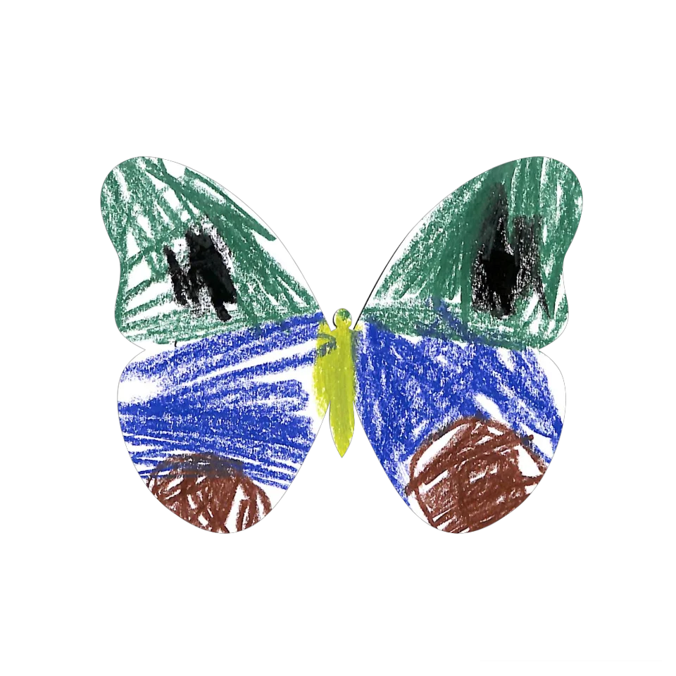 Original Butterfly Image