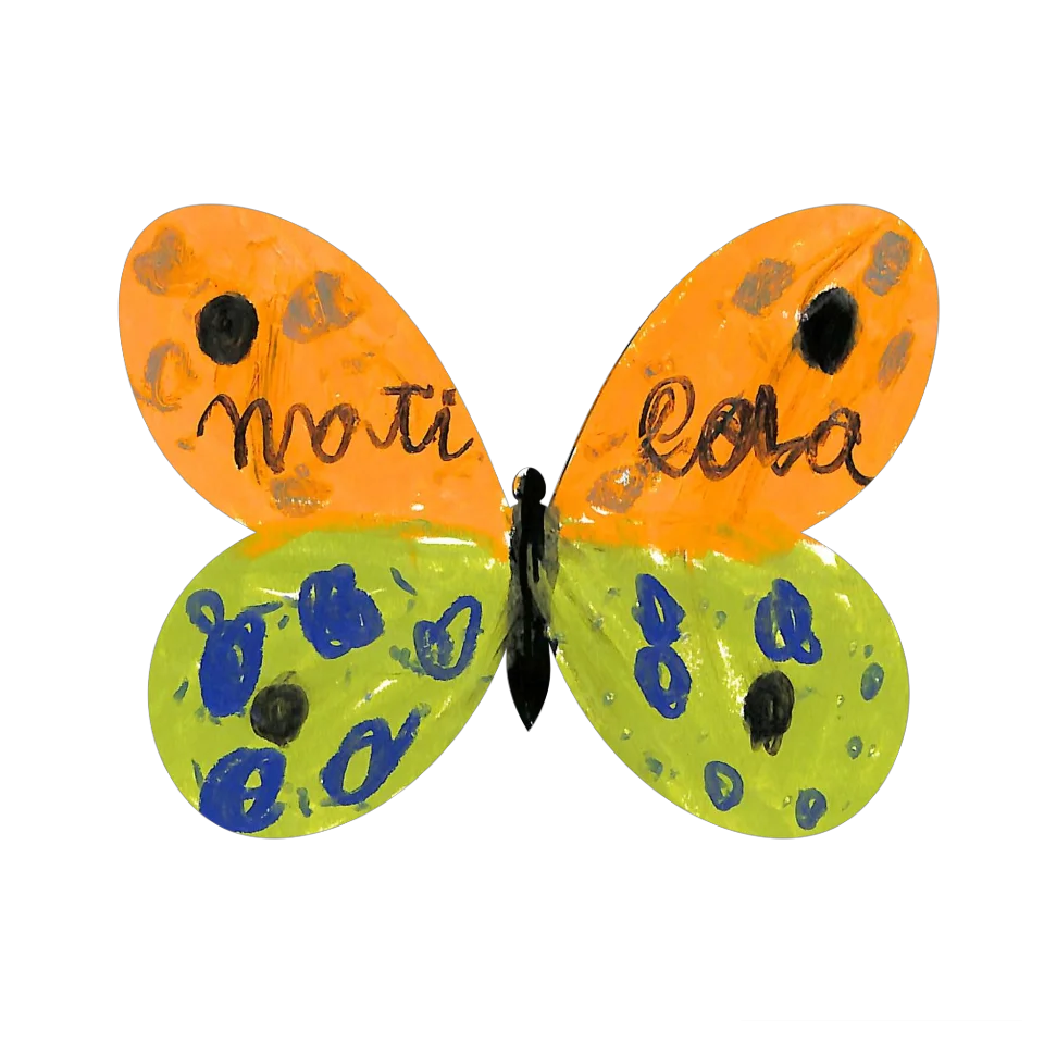 Original Butterfly Image