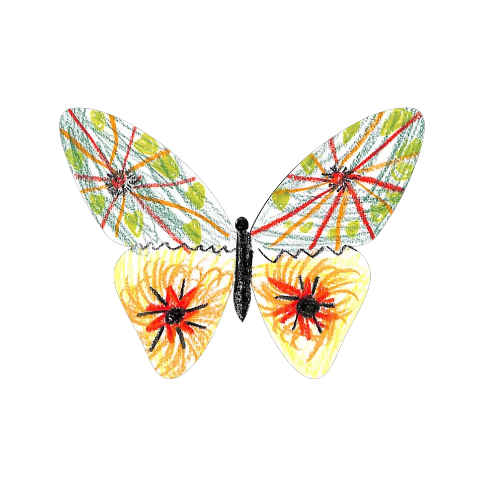 Original Butterfly Image