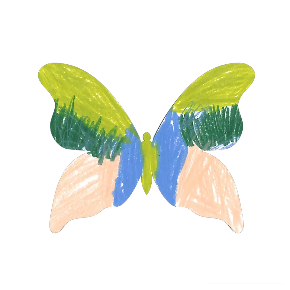 Original Butterfly Image