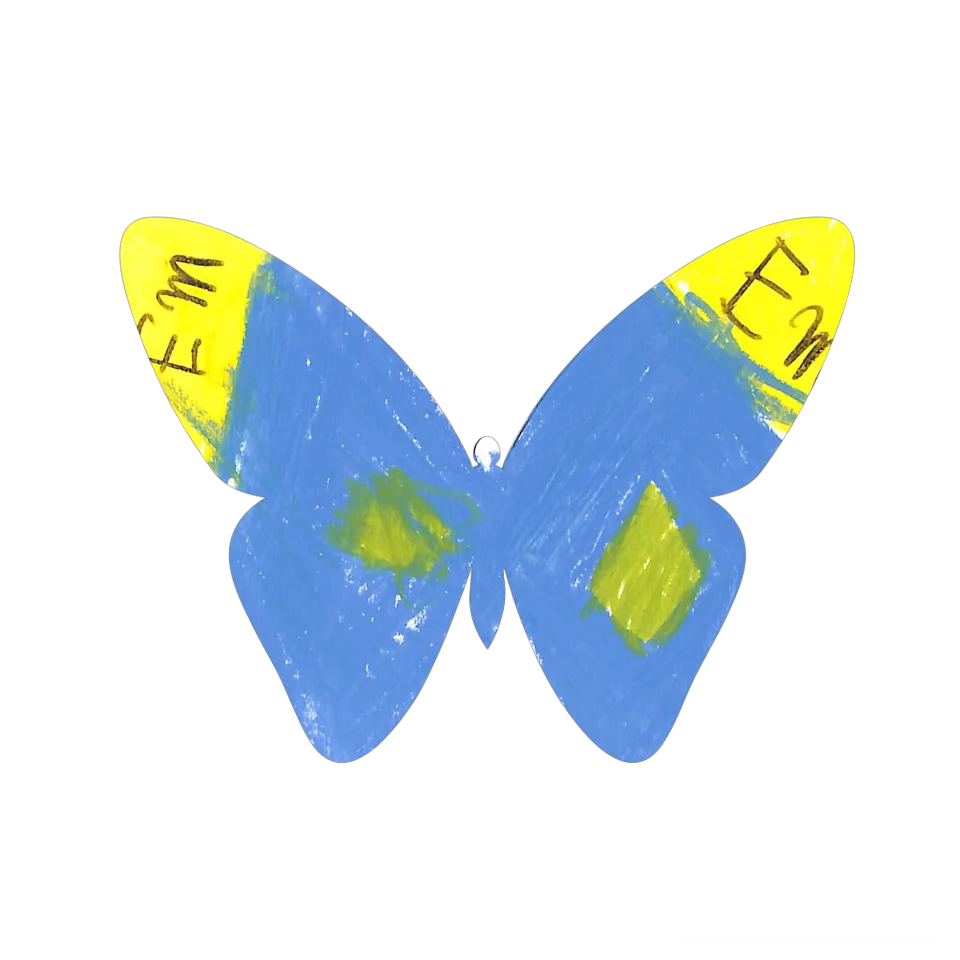 Original Butterfly Image