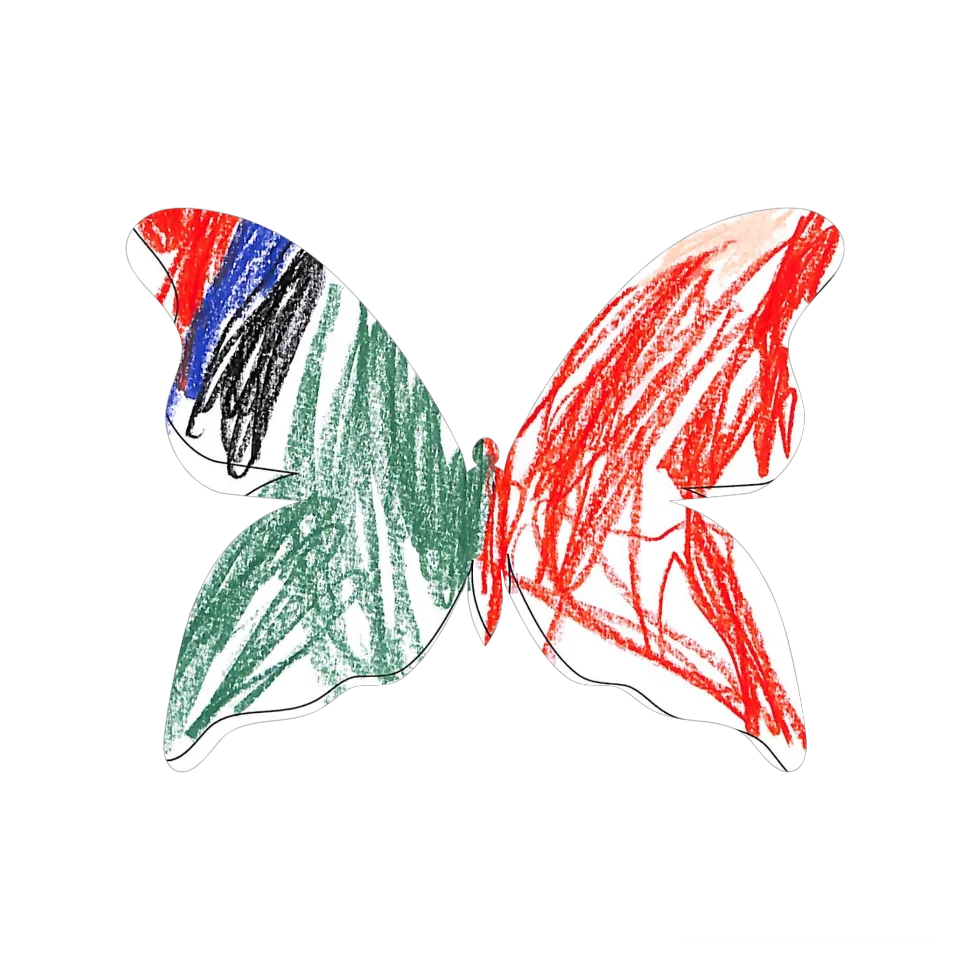 Original Butterfly Image