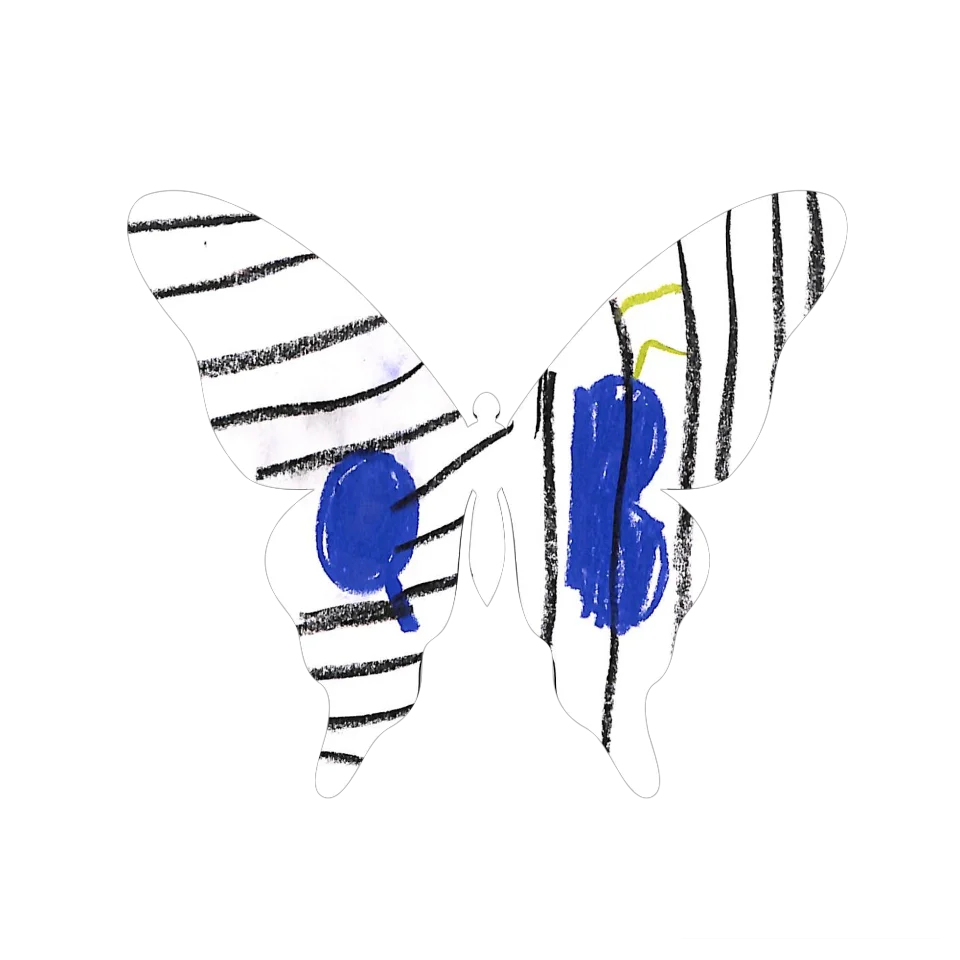 Original Butterfly Image
