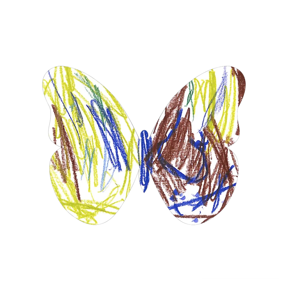 Original Butterfly Image