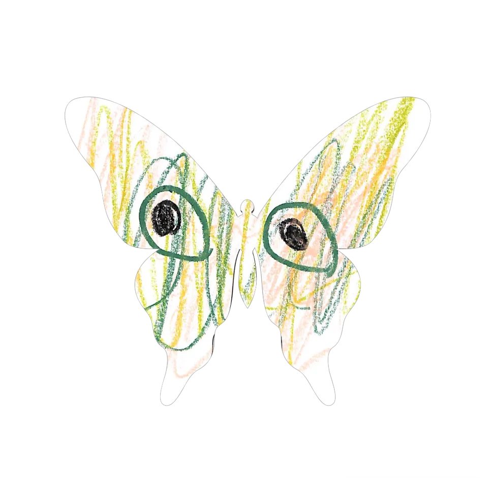 Original Butterfly Image