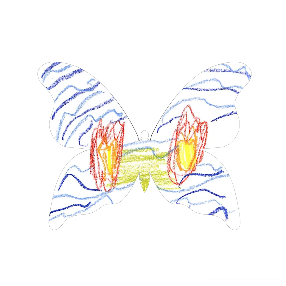 Original Butterfly Image