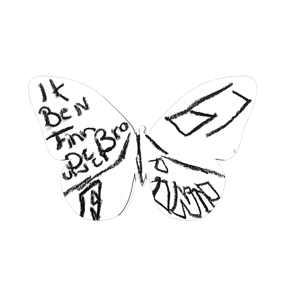 Original Butterfly Image