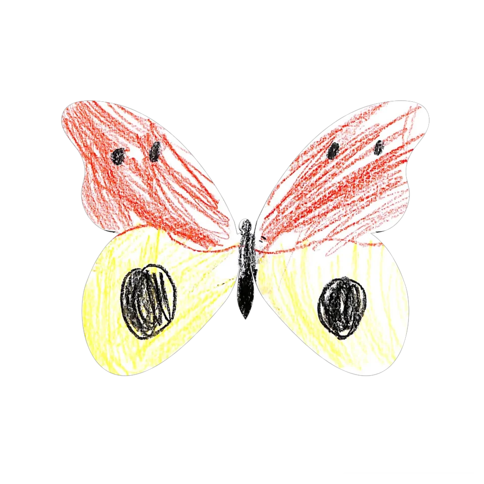 Original Butterfly Image