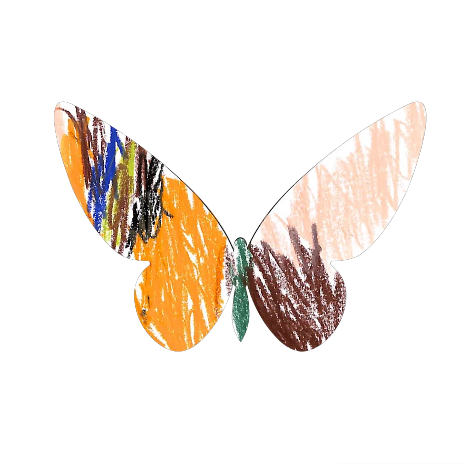 Original Butterfly Image