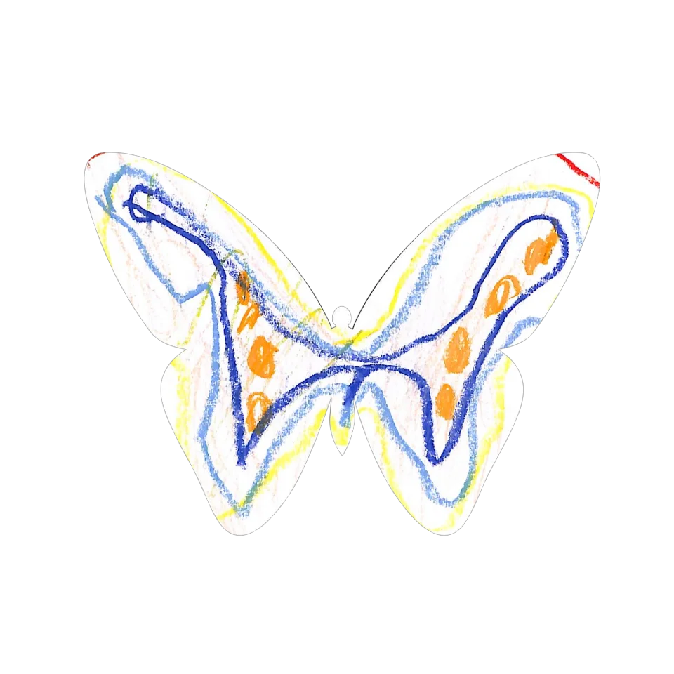 Original Butterfly Image
