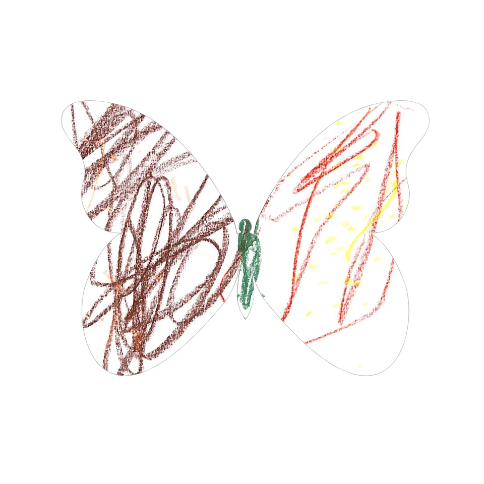 Original Butterfly Image