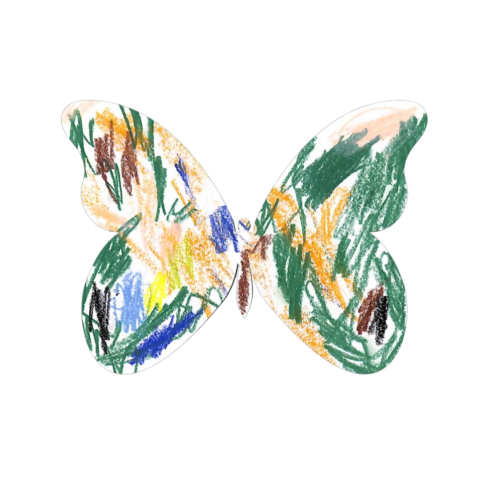 Original Butterfly Image