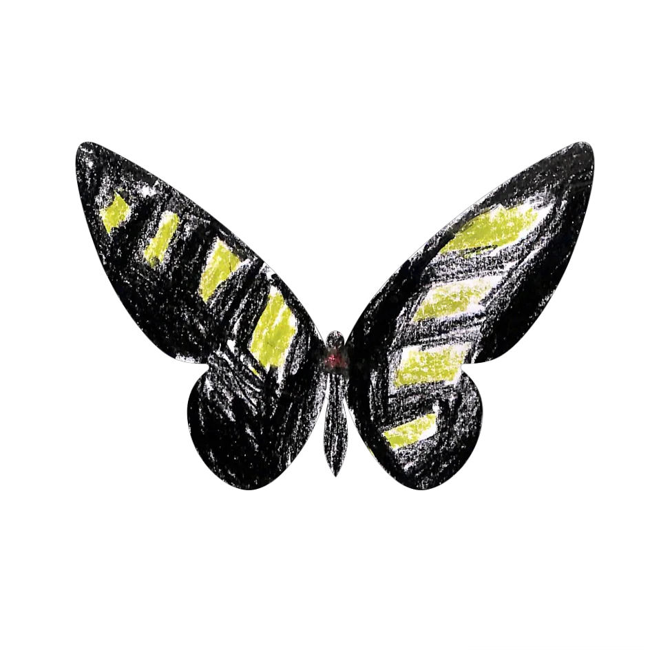 Original Butterfly Image