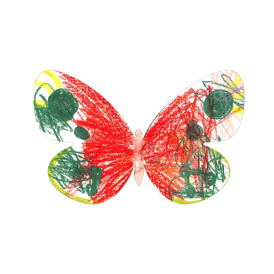 Original Butterfly Image