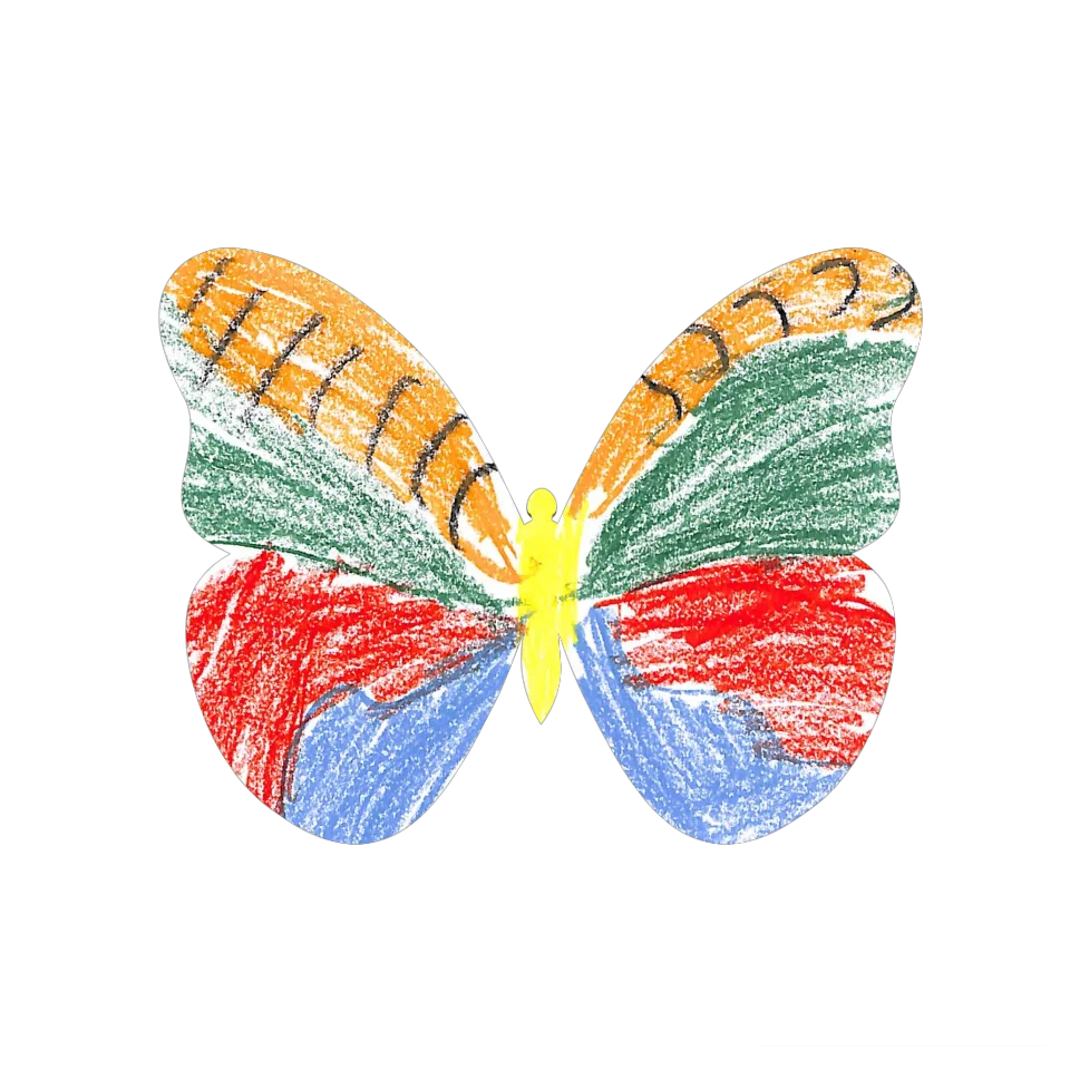 Original Butterfly Image